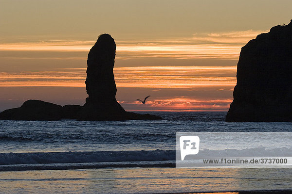 Sonnenuntergang am Rialto Beach  Westküste  Olympic Halbinsel  Olympic Nationalpark  Washington  USA