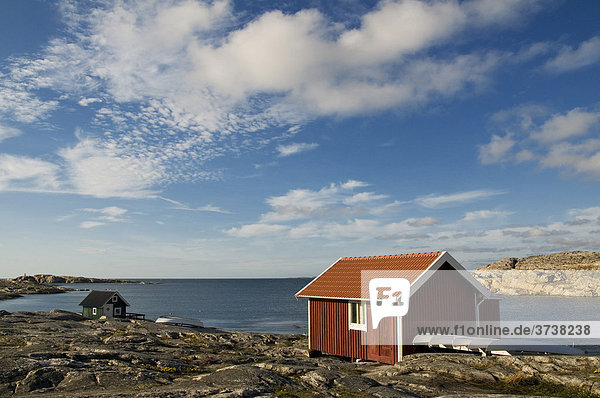 Wooden hut on rocky coast  Smoegen  Bohuslaen  Sweden  Scandinavia  Europe