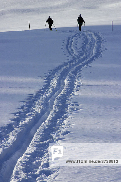 Skiing track