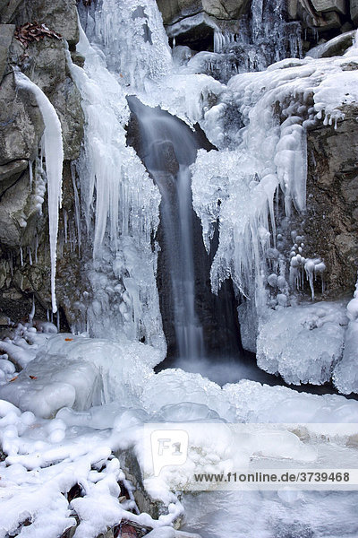 Gefrorener Wasserfall in Svaty Stepan  Brumov-Bylnice  Naturschutzgebiet Weiße Karpaten  Bile Karpaty  Mähren  Tschechische Republik  Europa