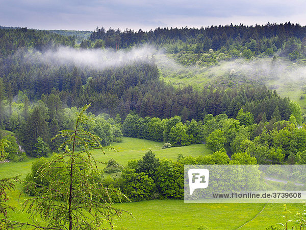 Landschaft nahe Vilemovice mit Nebelstreifen  Naturschutzgebiet Moravsky Kras  Süd-Mähren  Tschechische Republik  Europa