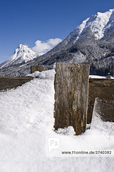 Verschneiter Zaun vor Guffert  Alpen  Tirol  Österreich