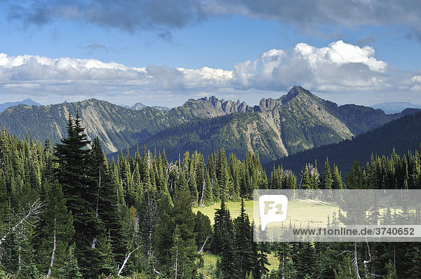 Bergkette Goveners Ridge im Mount Rainier National Park  Washington  USA