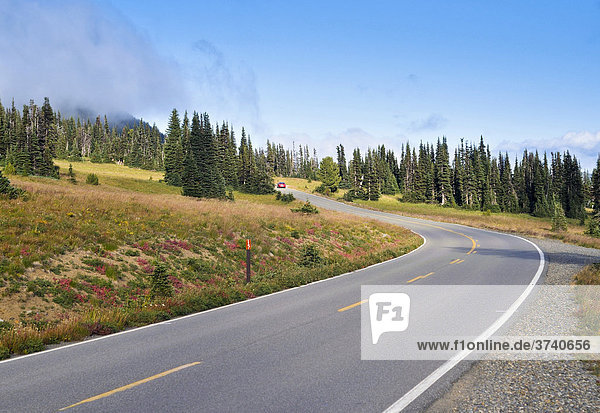 Road leading to the Sunrise Center at Mount Rainier National Park  Washington  USA