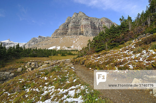 Wanderweg am Logan Pass Hauptbesuchspunkt im Glacier National Park Montana USA Nordamerika