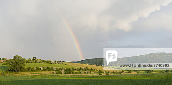 Regenbogen über grünen Feldern  Niederösterreich  Österreich  Europa