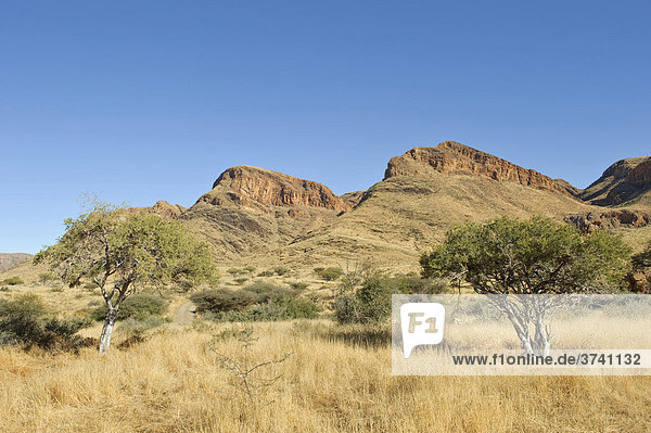 Naukluft Nationalpark  Namibia  Afrika