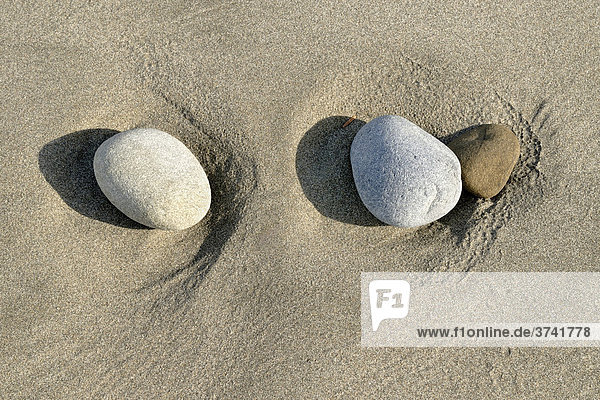 Stones exposed by water on a sandy beach  Pacific coast  Olympic Peninsula  Washington  USA