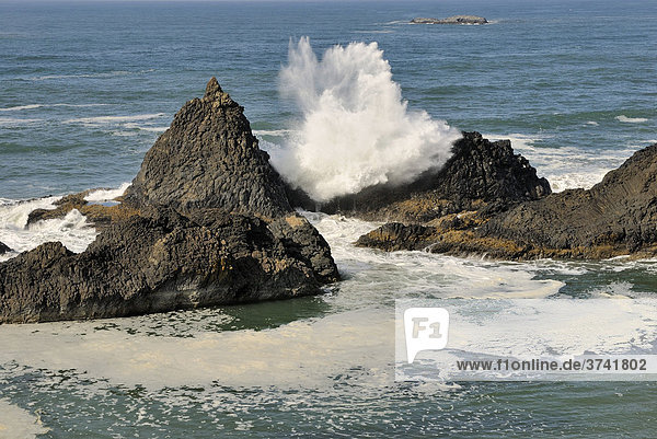 Breaking waves and spray  Ona Beach  south of Newport  Pacific coast  Oregon  USA