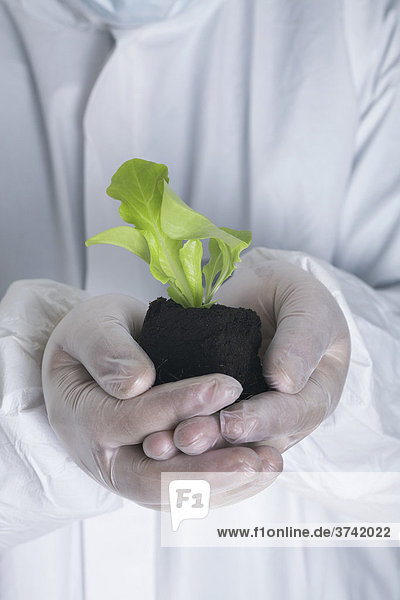 Chemiker hält eine Pflanze in den Händen