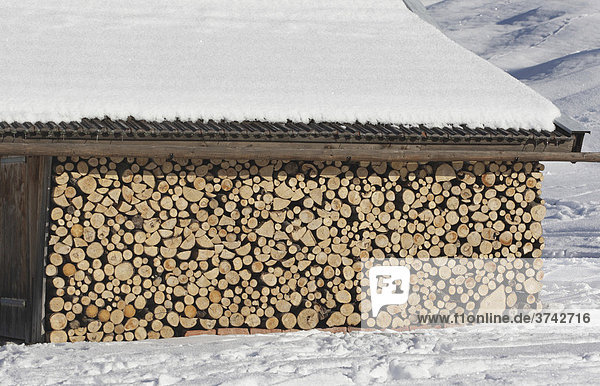Holzstoß im Schnee  Oberbayern  Bayern  Deutschland  Europa