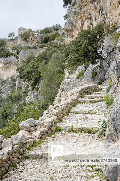 Steps to the ruins of the Castell d' Alaro Castle  Castillo de Alaro  above Alaro  Majorca  Balearic Islands  Spain  Europe