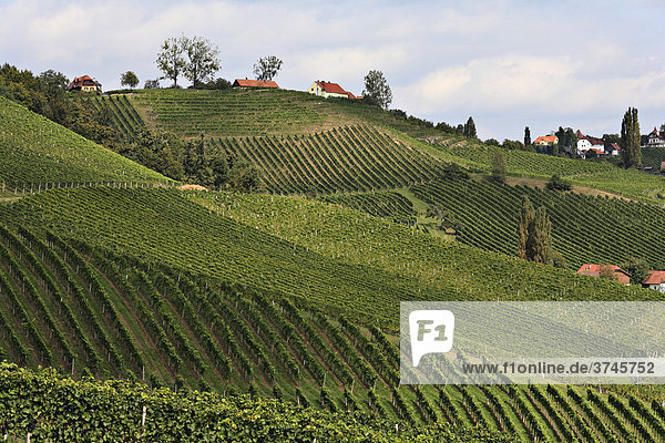 Blick von Südsteirische Weinstraße in Ratsch über Weinberge in Slowenien  Steiermark  Österreich  Europa