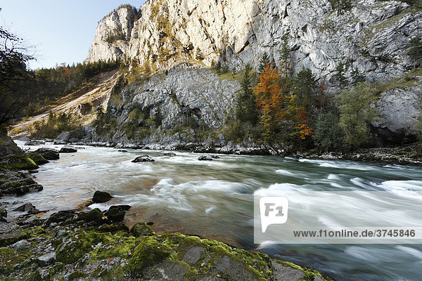Fluss Enns im Gesäuse  Ennstaler Alpen  Steiermark  Österreich  Europa