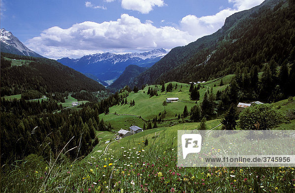 Prudaint  Val Poschiavo  Bernina  Graubuenden  Switzerland  Europe