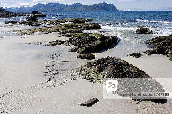 Geröllküste  Sandstrand  Vikten  Lofoten  Norwegen  Skandinavien  Europa