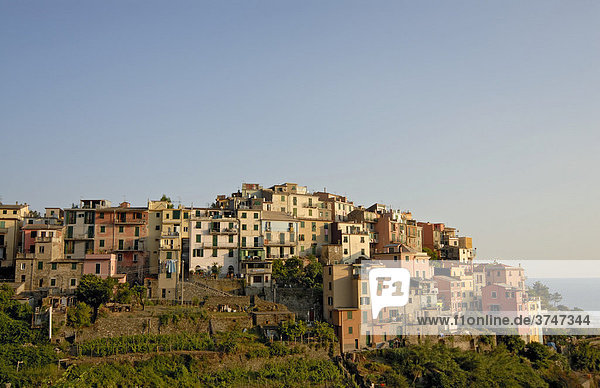The village of Corniglia  Cinque Terre  Italy  Europe