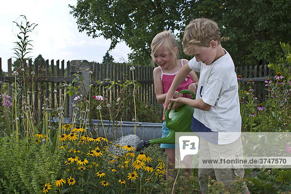 Mädchen  5 Jahre  und Junge  8 Jahre  alt gießen Blumen im Garten