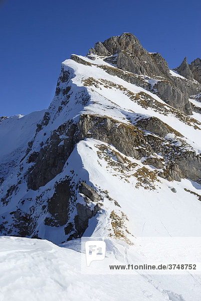 Mit Schnee bedeckter Felsgrat in den Kalkalpen  Rofan  Tirol  Österreich  Europa