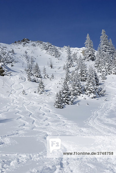 Ski Abfahrtsspuren in winterlicher Berglandschaft Wendelsteingebirge  Bayern  Deutschland