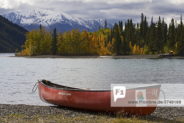 Herbstfarben  Kanu  Kathleen See  hinten St. Elias-Gebirge  Kluane Nationalpark  Yukon Territory  Kanada  Nordamerika