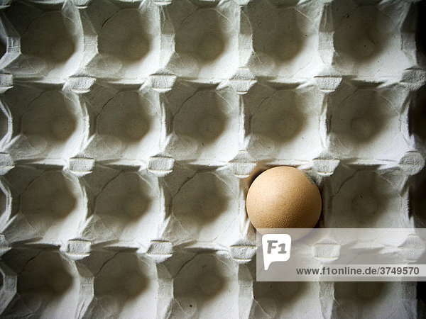 Ein Ei in Eierkarton  symbolisch für Einsamkeit