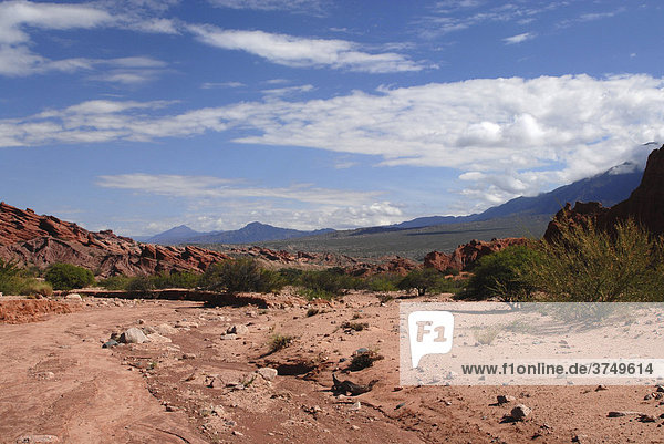 Panoramablick  rote Sandsteinformation  Quebrada del RÌo Las Conchas  Cafayate  Provinz Salta  Anden  Argentinien  Südamerika