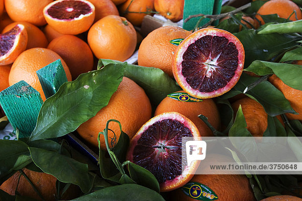 Blood oranges at a market in Ingolstadt  Bavaria  Germany  Europe
