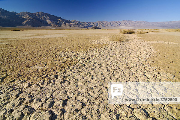 Desiccation cracks arid loam soil at Stovepipe Wells in Death Valley National Park California USA North America