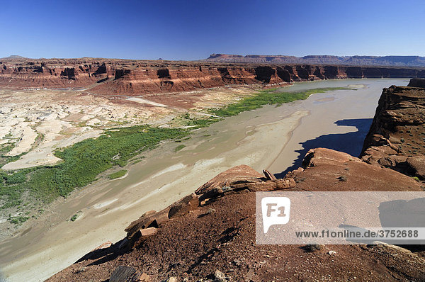 Glen Canyon National Recreation Area viewed from Hite Lookout Point  Colorado Plateau  Utah  USA
