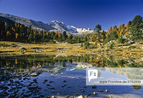 Spiegelung im Grünsee  Lac Verde  Bergsee  Herbst  Fanes Sennes Prags Naturpark  Südtirol  Italien  Europa