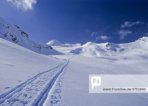 Ski-Touren-Spur in einem weiten verschneiten Hochtal am Weg zum Similaun  Ötztaler Alpen  Tirol  Österreich  Europa