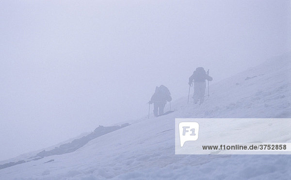 Zwei Bergsteiger stapfen im Nebel durch ein Schneefeld  Tirol  Österreich  Europa