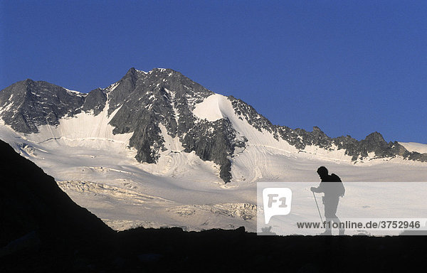 Silhouette of a mountain hiker in front of a glacier in the evening  Zillertal Alps  Tyrol  Austria  Europe