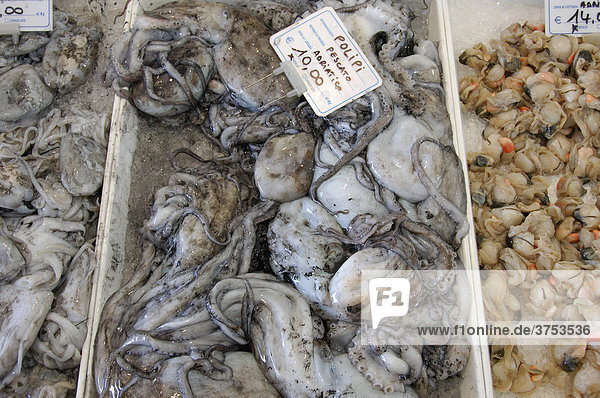 Frische Meeresfrüchte (Octopus) in einer Kühltheke  Caorle  Venezien  Italien
