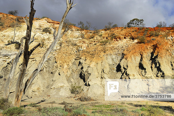 Steep bank of the Irvin River  dried-up riverbed  Coalseam Reserve  Western Australia  Australia