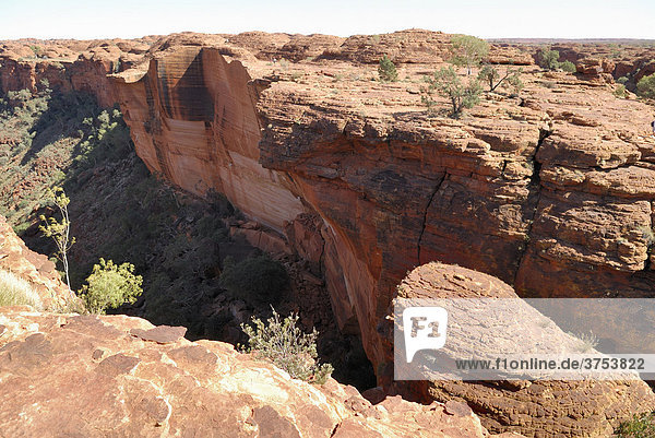 Blick in den Kings Canyon  Watarrka Nationalpark  Northern Territory  Australien