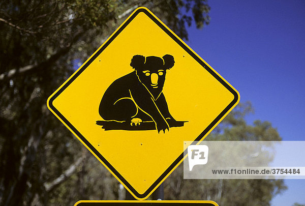 Koala crossing sign  Queensland  Australia
