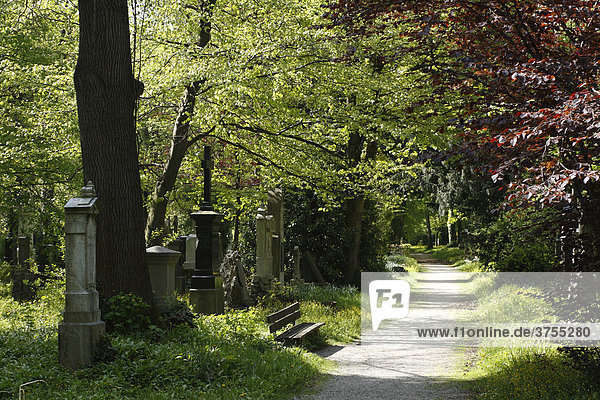Alter Südlicher Friedhof  Isarvorstadt  München  Bayern  Deutschland  Europa