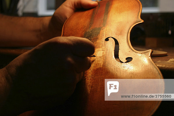 Geigenbauer repariert die Decke einer alten Geige