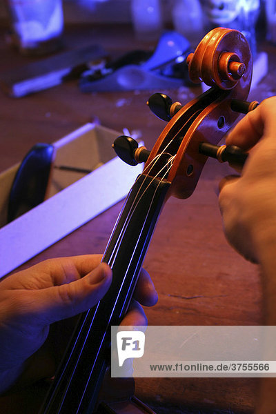 Geigenbauer bei der Saitenbespannung einer Geige