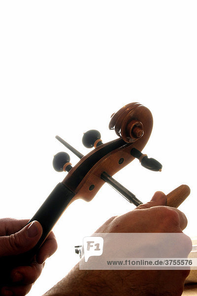 Geigenbauer beim Einpassen eines Stimmwirbel in die Geigenschnecke