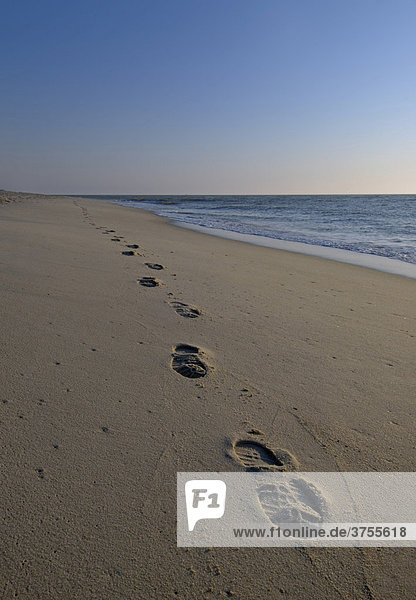 Spuren im Sand  Weststrand  Sylt  Schleswig-Holstein  Deutschland  Europa