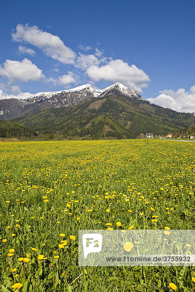 Bergmassiv des Reiting in den Eisenerzer Alpen  Steiermark  Österreich  Europa