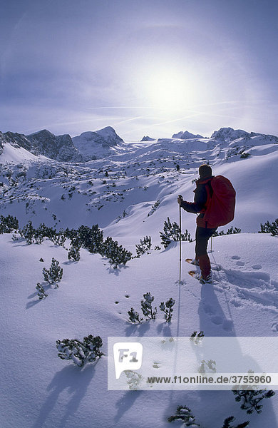 Schneeschuhgeherin und Halo vor dem Massiv des Hohen Dachstein  2995m  Steiermark  Österreich  Europa