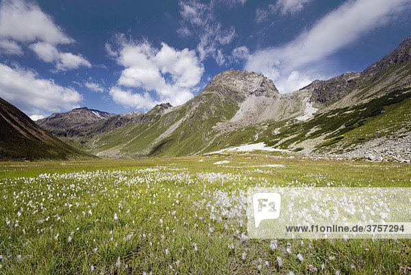 Löcher Kogel  Köpfle  Schneidiges Wandle  See Kogel vom Riffelsee aus gesehen  Pitztaler Alpen  Tirol  Österreich  Europa