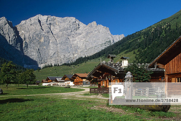 Eng-Alm alpine pasture  Karwendel Range  Schwaz  Tyrol  Austria  Europe