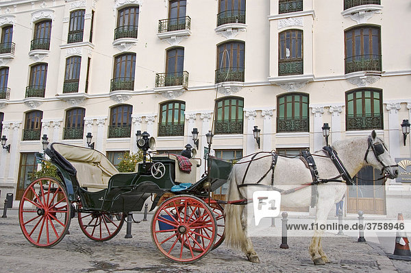 Prächtige Kutsche in Ronda die weiße Stadt  Ronda  Andalusien  Spanien