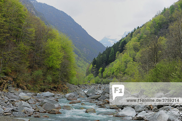 Fluss Verzasca bei Lavertezzo im Tessin  Schweiz  Europa