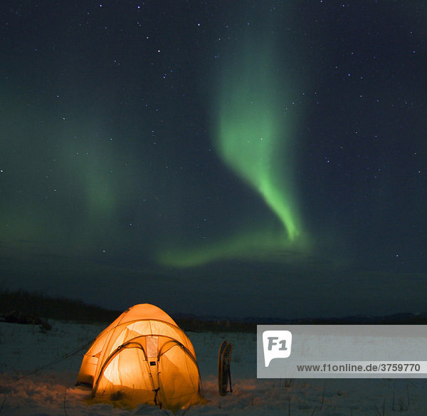Aurora borealis  Polarlicht oder Nordlicht  Wintercamp  Yukon Territory  Kanada